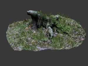 3d scanned tree stump 02 3D Model