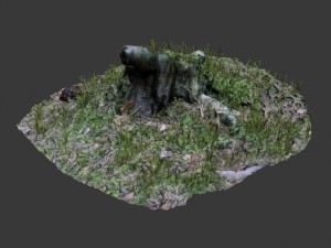 3d scanned tree stump 02 3D मॉडल