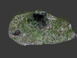 3d scanned tree stump 02 3D Model