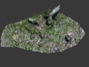 3d scanned tree stump 02 3D मॉडल