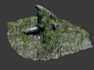 3d scanned tree stump 02 3D Model