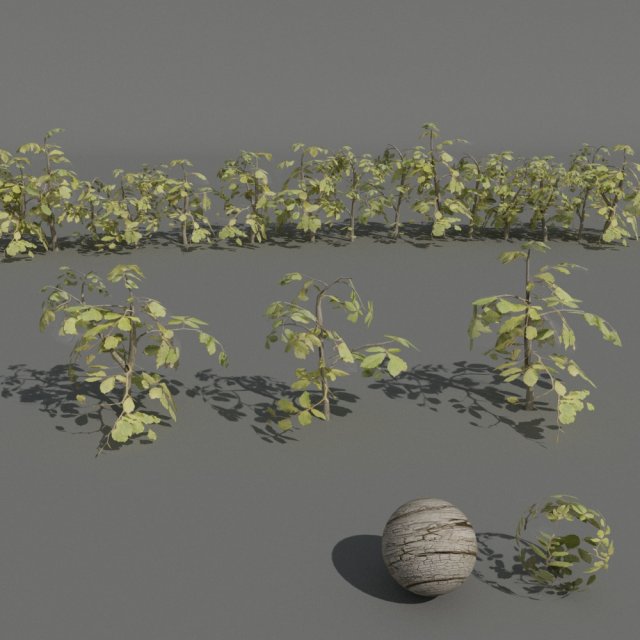 hedge plants collection Modelo 3D .c4d .max .obj .3ds .fbx .stl .blend 