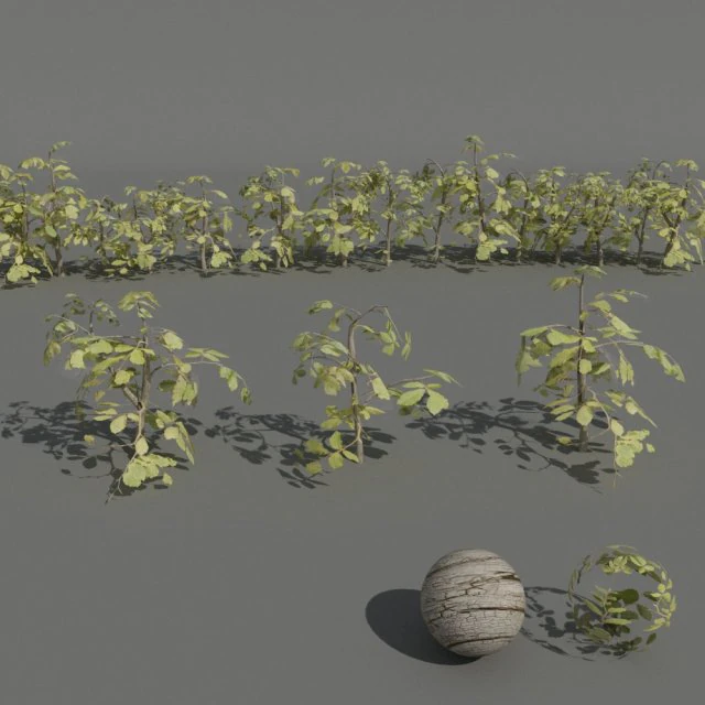 hedge plants collection 3D Model .c4d .max .obj .3ds .fbx .stl .blend 