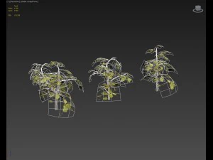 hedge plants collection 3D Model