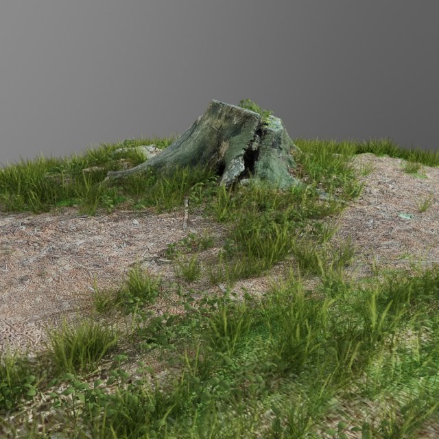 3d scanned tree stump and gras 3 3D 模型 .c4d .max .obj .3ds .fbx .stl .blend
