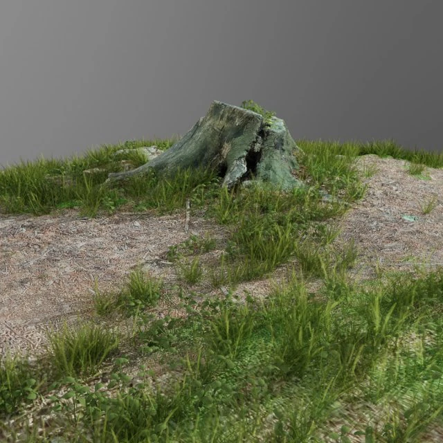3d scanned tree stump and gras 3 3D Model .c4d .max .obj .3ds .fbx .stl .blend 