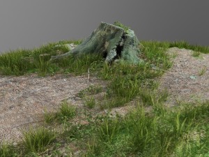3d scanned tree stump and gras 3 3D Model