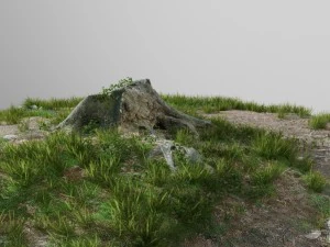 3d scanned tree stump and gras 3 3D Model