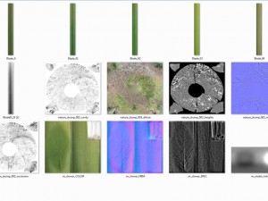 3d scanned tree stump and gras 3 3D 模型
