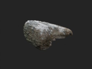 3d scanned stones 3 stones Model 3D