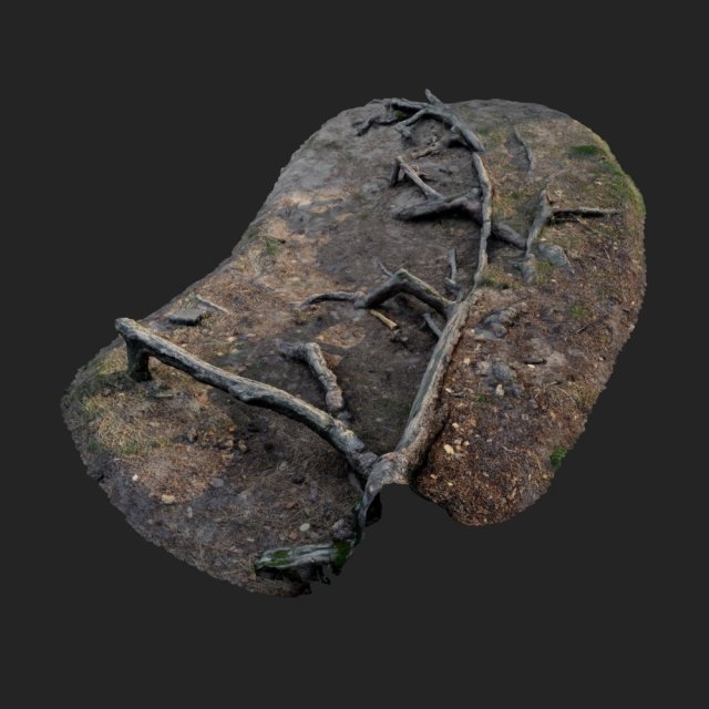 nature forest roots 002 3D 模型 .c4d .max .obj .3ds .fbx .stl .blend
