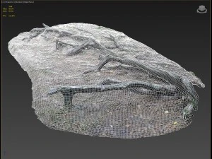 nature forest roots 002 3D Model