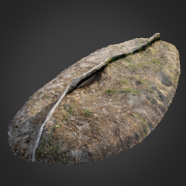 nature forest roots 003 Modelo 3D .c4d .max .obj .3ds .fbx .stl .blend 