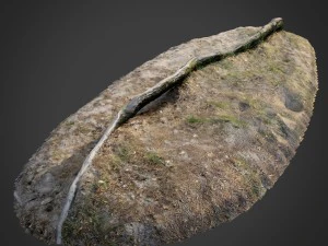 Natur Waldwurzeln 003 3D Modell