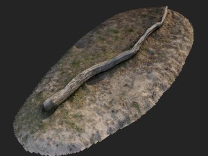nature forest roots 003 Modelo 3D