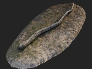 nature forest roots 003 3D Model