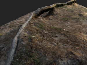 nature forest roots 003 Modelo 3D