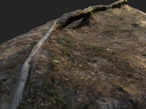 nature forest roots 003 3D Model