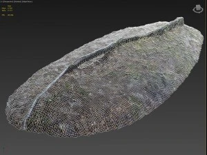 nature forest roots 003 3D Model