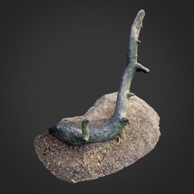 nature forest roots 004 3D 模型 .c4d .max .obj .3ds .fbx .stl .blend 