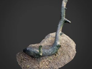 akar hutan alam 004 Model 3D