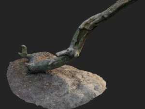nature forest roots 004 3D Model