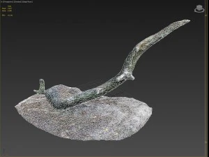 nature forest roots 004 3D Model