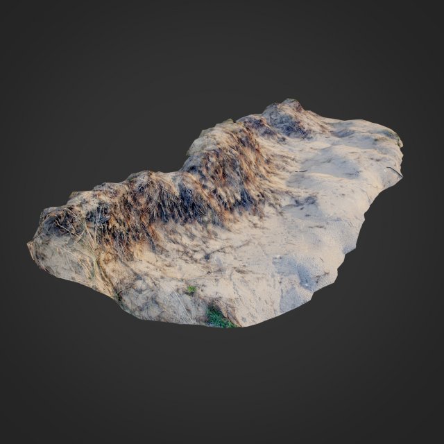 nature ground edge 001 3D Model .c4d .max .obj .3ds .fbx .stl .blend 