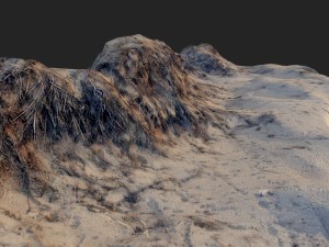 nature ground edge 001 3D Model