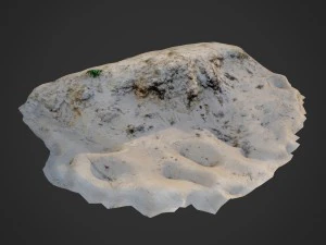 nature ground edge 002 3D Model