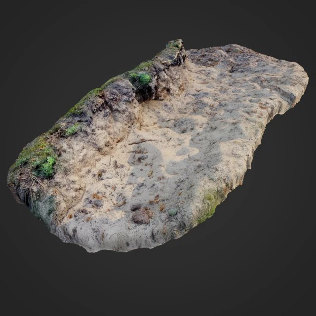 nature ground edge 003 3D Model .c4d .max .obj .3ds .fbx .stl .blend 