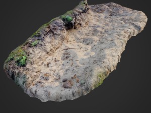 nature ground edge 003 3D Model