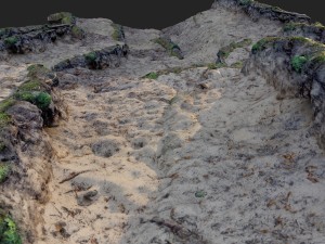 nature ground edge 003 3D मॉडल