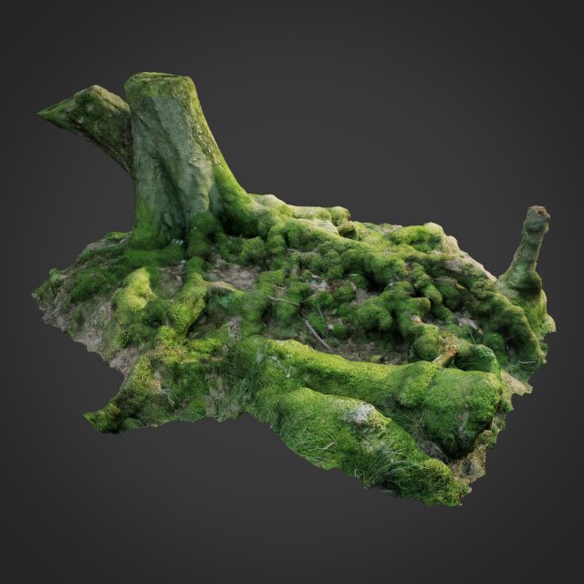 3d scanned nature forest roots 005 3D 模型 .c4d .max .obj .3ds .fbx .stl .blend 
