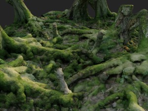 3d scanned nature forest roots 005 3D 模型