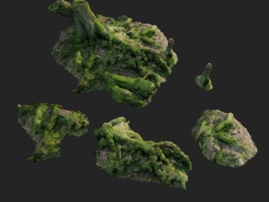 3d scanned nature forest roots 005 3D 模型