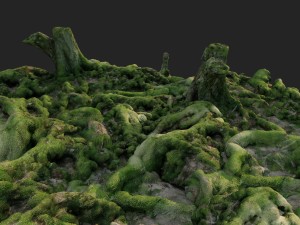 3d scanned nature forest roots 005 3D 模型