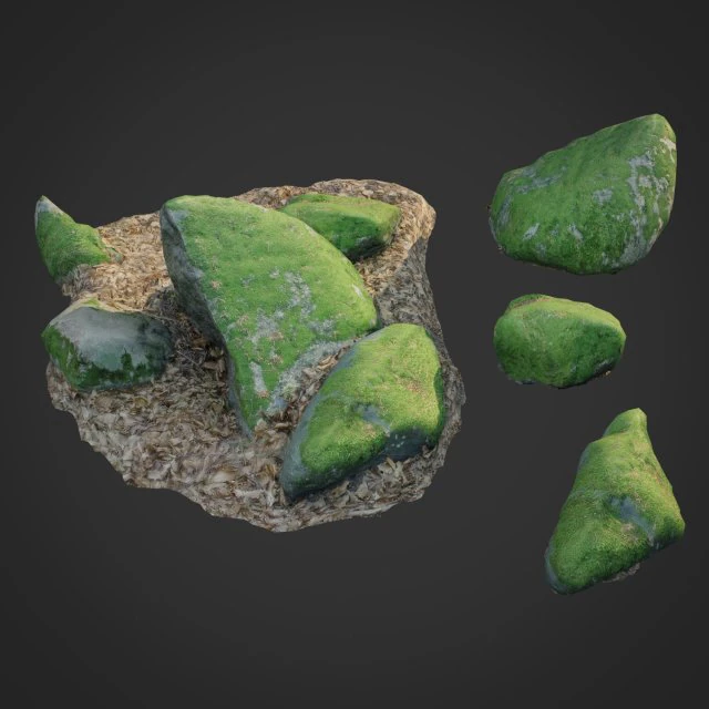 nature stone 007 3D Model .c4d .max .obj .3ds .fbx .stl .blend
