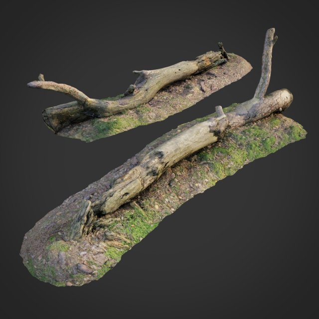 3d scanned nature forest roots 007 3D Model .c4d .max .obj .3ds .fbx .stl .blend 