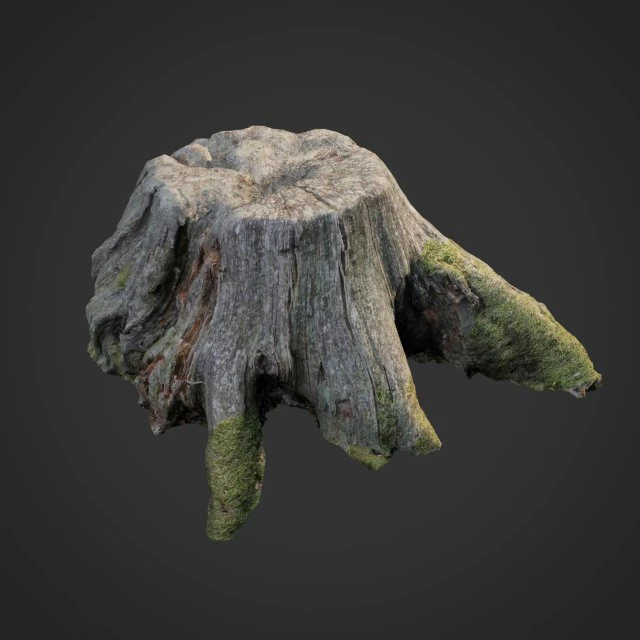 3d scanned nature tree stump 004 3D Model .c4d .max .obj .3ds .fbx .stl .blend 