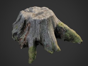 3d scanned nature tree stump 004 3D-Modell