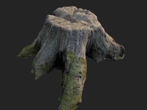 3d scanned nature tree stump 004 3D Model