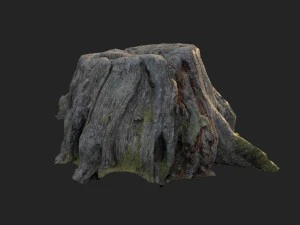 3d scanned nature tree stump 004 3D Model