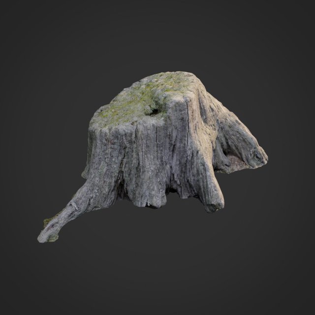 3d scanned nature tree stump 005 Model 3D .c4d .max .obj .3ds .fbx .stl .blend 