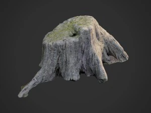 3D-gescande natuurboomstronk 005 3D Model