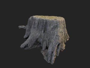 3d scanned nature tree stump 005 Model 3D