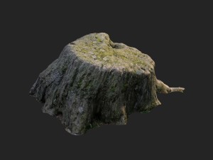 3d scanned nature tree stump 005 Model 3D