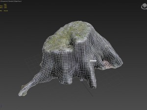 3d scanned nature tree stump 005 Model 3D