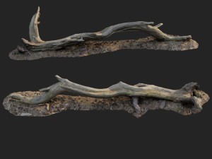 3d scanned nature forest roots 009 Modelo 3D