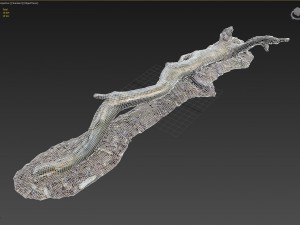 3d scanned nature forest roots 009 Modelo 3D